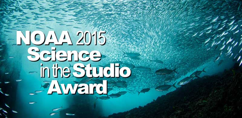 Announcing this year’s recipients of the Science in Studio Award
