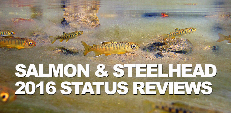 Salmon and steelhead 2016 five year status reviews