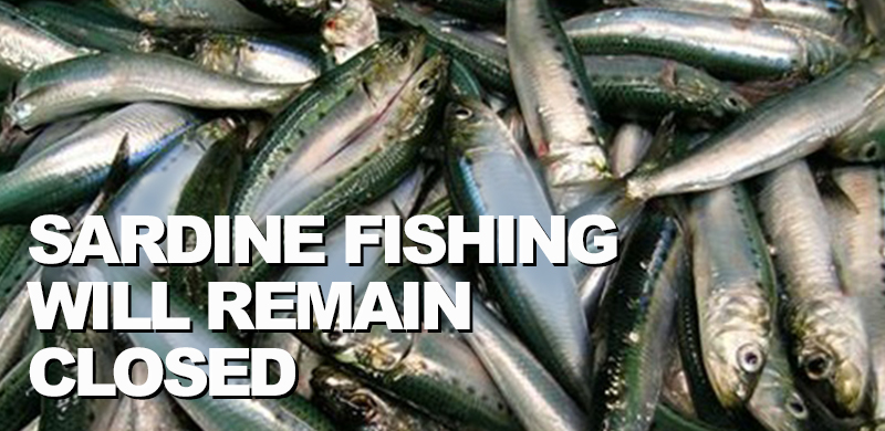 Sardine numbers remain low, 2016 fishing remains closed