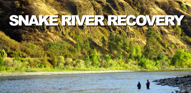 NOAA Fisheries seeks input on proposed Snake River salmon and steelhead recovery plan