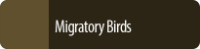 migratory bird habitat initiative button