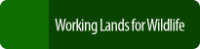 working lands for wildlife button