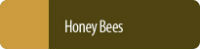 honey bee button