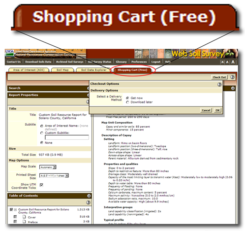 Shopping Cart tab - click to close