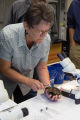 Biologists learn how to grow freshwater mussels