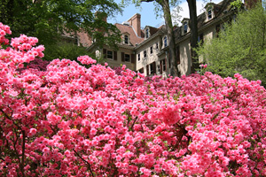 Winterthur Museum, Garden and Library