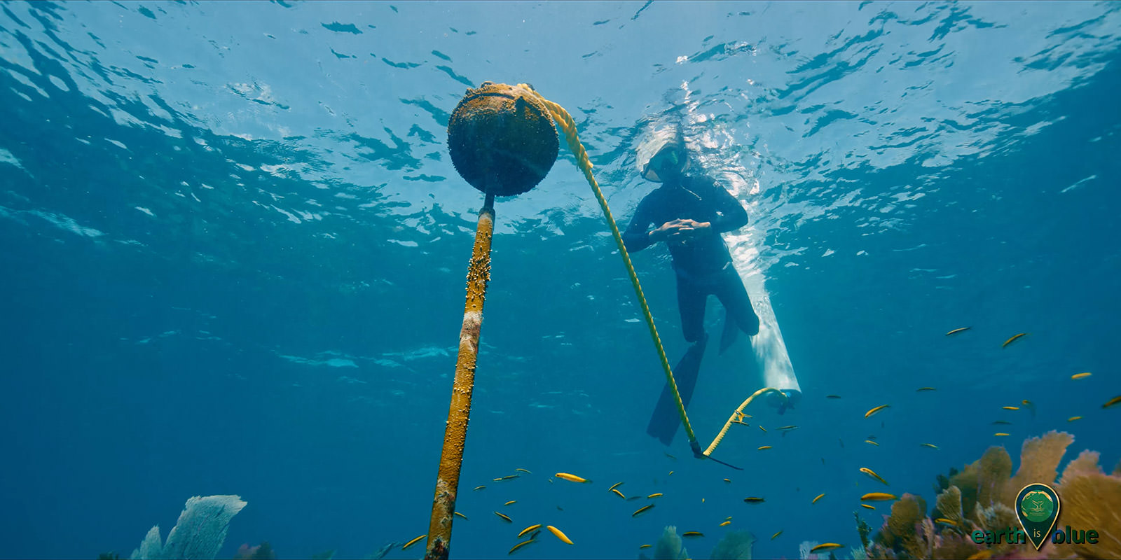 diver examining a buoy in the florida keys