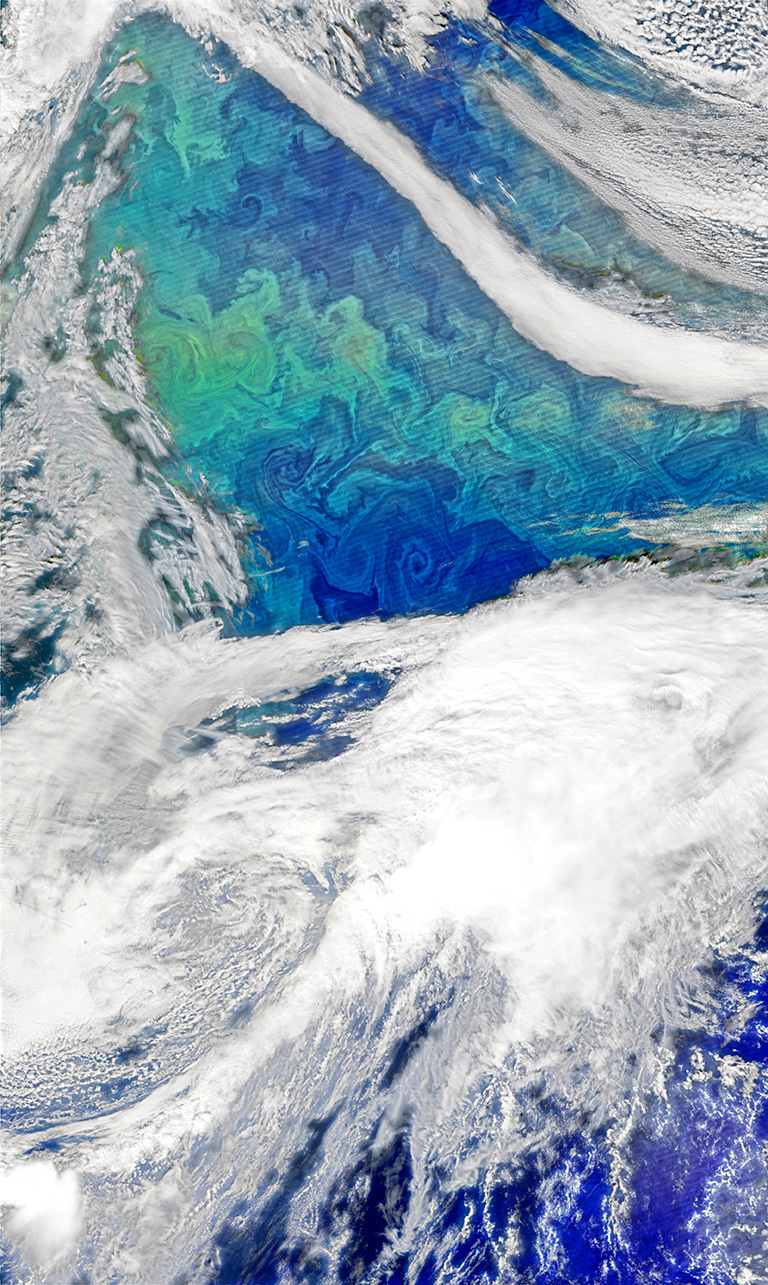 Each spring, the waters of the North Atlantic Ocean host a huge natural bloom of phytoplankton&mdash;microscopic, plant-like organisms that are important for carbon cycling and also could influence clouds and climate. Source: NASA&#39;s Earth Observatory.&nbsp;Credit:&nbsp;Norman Kuring, using VIIRS data from the Suomi National Polar-orbiting Partnership.