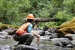 Two BLM employees conduct scientific research in a stream, thumbnail