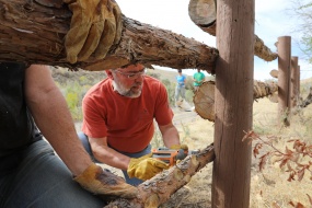 Volunteer builds a fence, thumbnail