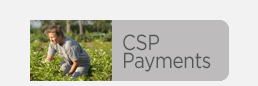 CSP Payments