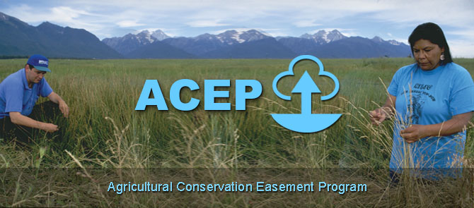 2014 fb acep  landing page banner