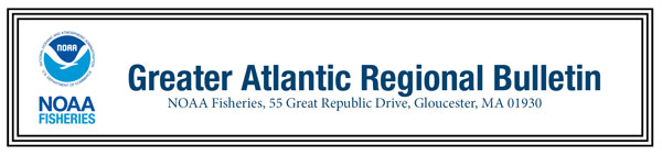 Greater Atlantic Region Fisheries Office bulletin header graphic