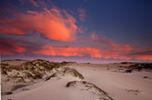 'Guadalupe-Nipomo Dunes National Wildlife Refuge, Guadalupe, California.'