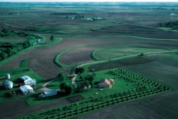 Windbreaks, such as this farmstead windbreak in northwest Iowa, can reduce home heating costs. | Photo courtesy of Lynn Betts, USDA Natural Resources Conservation Service.