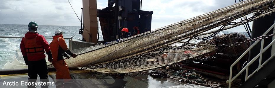 Pelagic Trawl nets sample fish in the water column - Alex Andrews