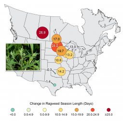 Figure 3.4: Ragweed Pollen Season Lengthens