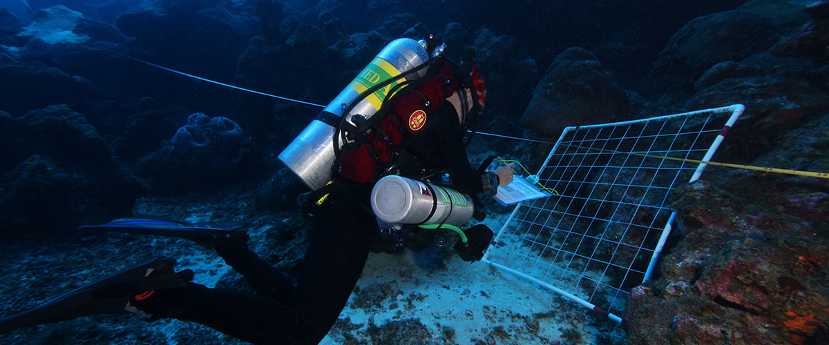 photo of diver monitoring underwater