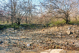 Current debris-laden site of former housing complex