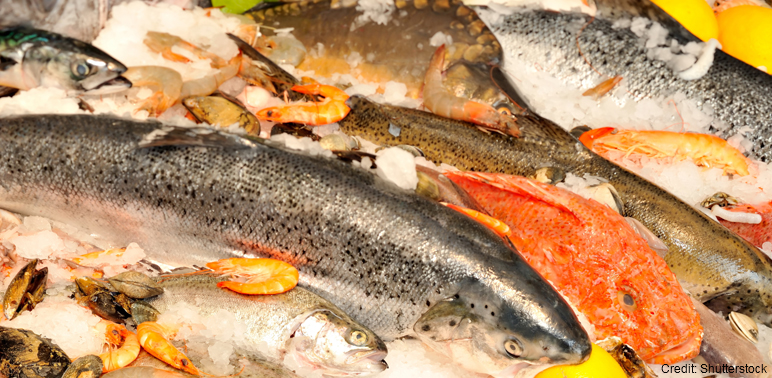 Champions of Change for Sustainable Seafood