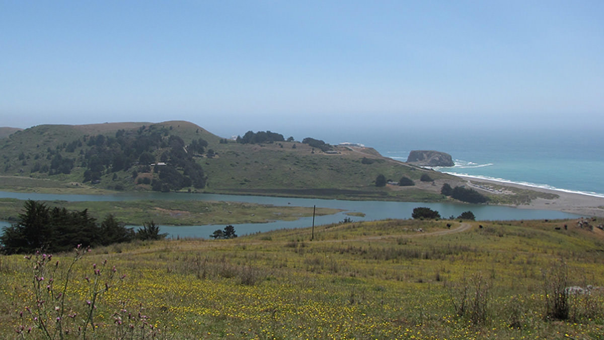 view of the russian river estuary