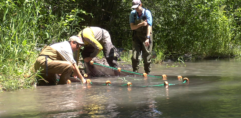 The Science Behind Restoring the Elwha