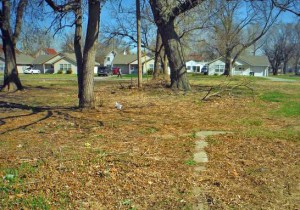 Example of yard before cleanup