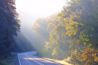 Winding road lit by sunilight filtering through haze