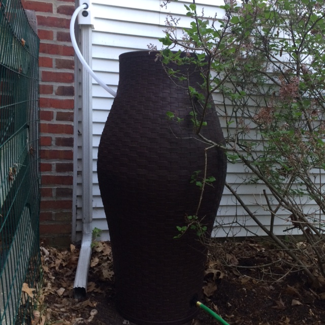 A recent, brief rain shower filled about one-third of this rain barrel. 