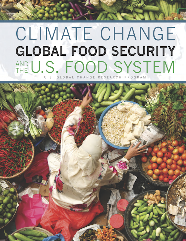 climate change global food security and the u.s. food system