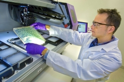 A researcher at the Joint Bioenergy Institute at Berkeley National Lab chooses bacteria colonies in their efforts to create a game-changing biofuel from sustainable, energy-dense plants, such as switchgrass. The JBEI is one example of the ability for Energy Department labs to form scientific partnerships designed to hurdle an energy barrier with transformative technology. | Photo courtesy of Berkeley National Lab.