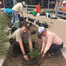 planting 