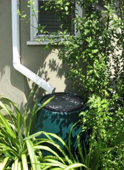 Rain barrel captures roof runoff in Santa Monica, CA. (Copyright Abby Hall, US EPA)