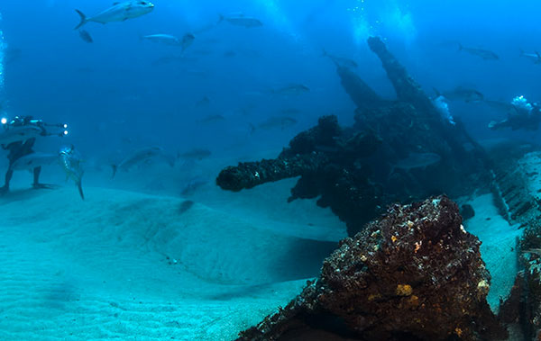 photo of diver and fish and shipwreck