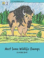 Cover of Wildlife Champs Coloring Book.