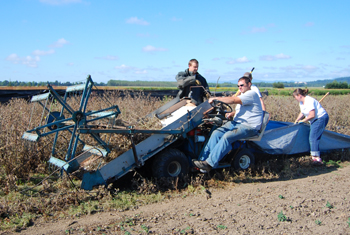 PMC employees harvest edible thistle using custom built equipment. Edible thistle is an important nectar resource for the Federally Threatened Oregon Silver-spot butterfly