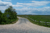 photograph of the gravel auto tour road at the Parker River National Wildlife Refuge, Newburyport, Massachusetts. The photograph shows the gravel road going into the refuge. Trees can be seen on the left side of the road. Along the right side of the road is a wooden rail fence. Behind the fence is a coastal meadow marsh.