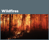 Wildfires