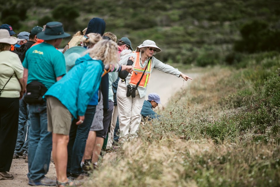 2014_Nature_Walk-Jane styer points at plants6944