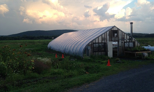 This greenhouse is shared by five farmers who collaborate and share information and resources in the Black Dirt Region of New York.