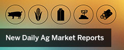 New Daily Ag Market Reports