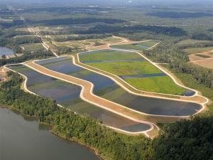 E.L. Huie Jr. Constructed Treatment Wetland in Clayton County, Georgia.