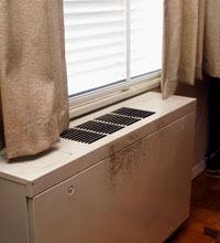 Mold growing on a radiator