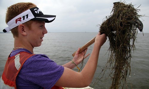 A volunteer helps the U.S. Fish and Wildlife Service track underwater grass abundance in the Chesapeake Bay.
