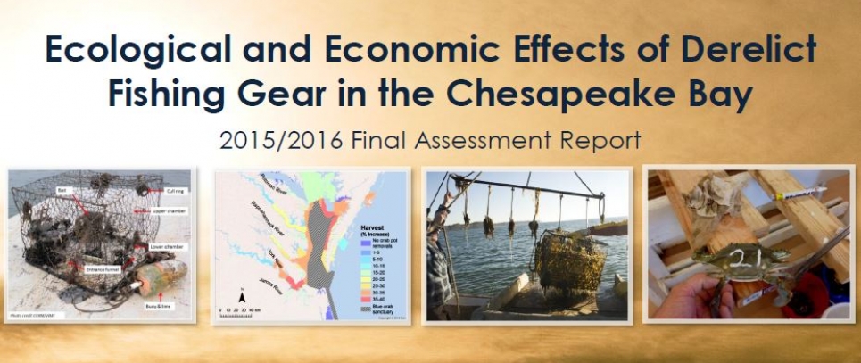 Cover of the Effects of Derelict Fishing Gear in the Chesapeake Bay Assessment Report.