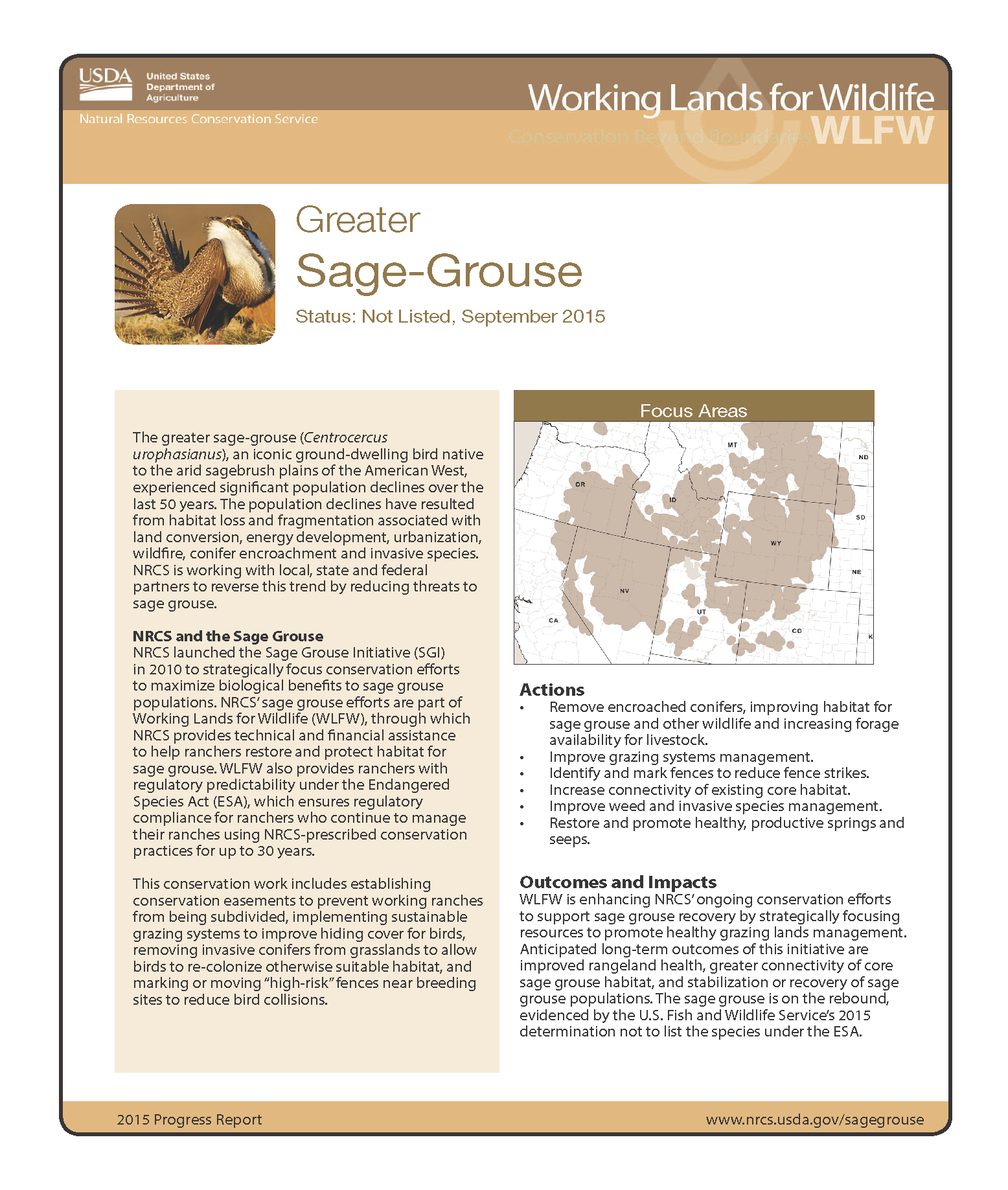 Pages from SageGrouse Score 11.