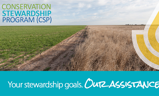 CSP. Your stewardship goals. Our assistance.