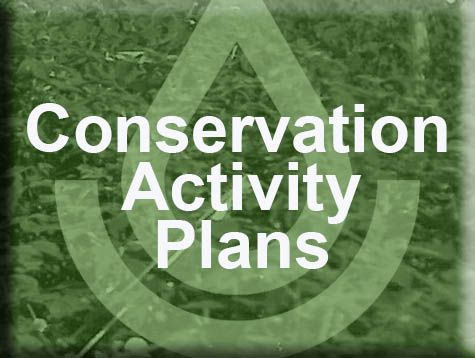 Conservation Activity Plans