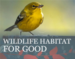 Wildlife Habitat for Good