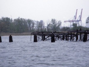 Shooters Island, at the end of Newark Bay, is home to a bird sanctuary. 